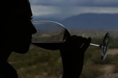 Verano en Tucumán: conocé la ruta del vino para vivir una experiencia sensorial en el Valle Calchaquí