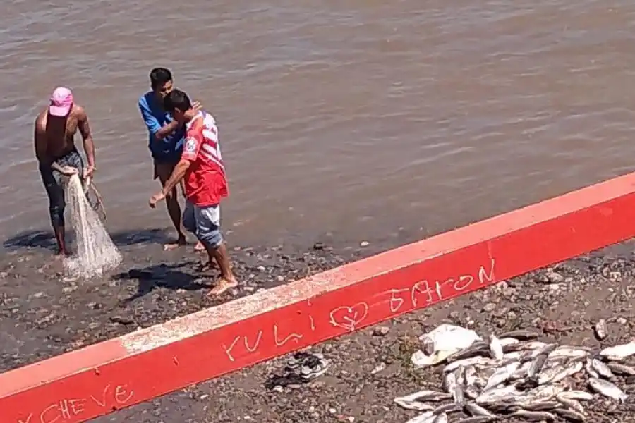 PRUEBA. Pescadores furtivos con los sábalos que extrajeron con una red en el río Gastona.