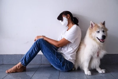 Detectaron coronavirus en un puma, en un gato y en cuatro perros