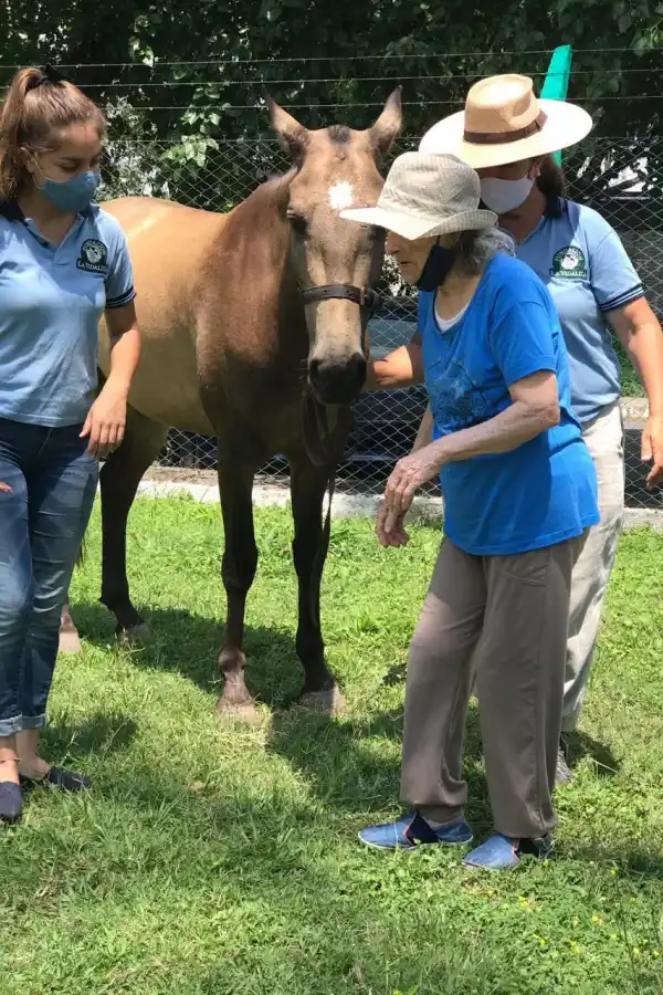 LA EDAD ES SÓLO UN NÚMERO. Una mujer de 84 años, por recomendaciwón de su médico, realiza su rehabilitación con caballos.