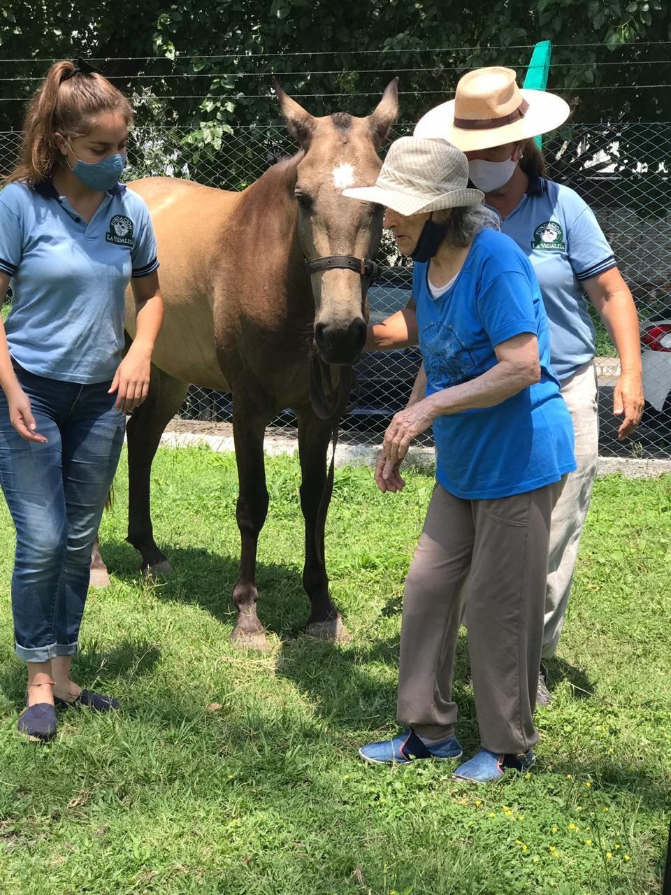 LA EDAD ES SÓLO UN NÚMERO. Una mujer de 84 años, por recomendaciwón de su médico, realiza su rehabilitación con caballos.