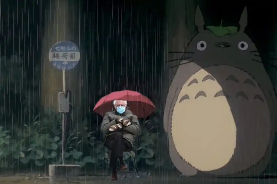 Los desopilantes memes del senador estadounidense que dejó la asunción de Biden