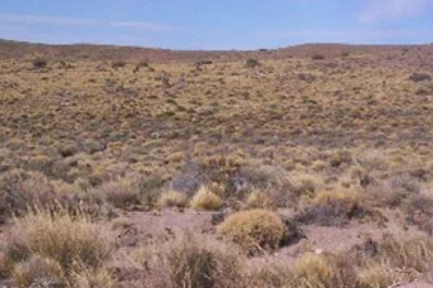 Biodiversidad y contaminación