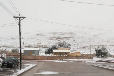 Nevó en pleno verano en la puna jujeña: mirá las imágenes