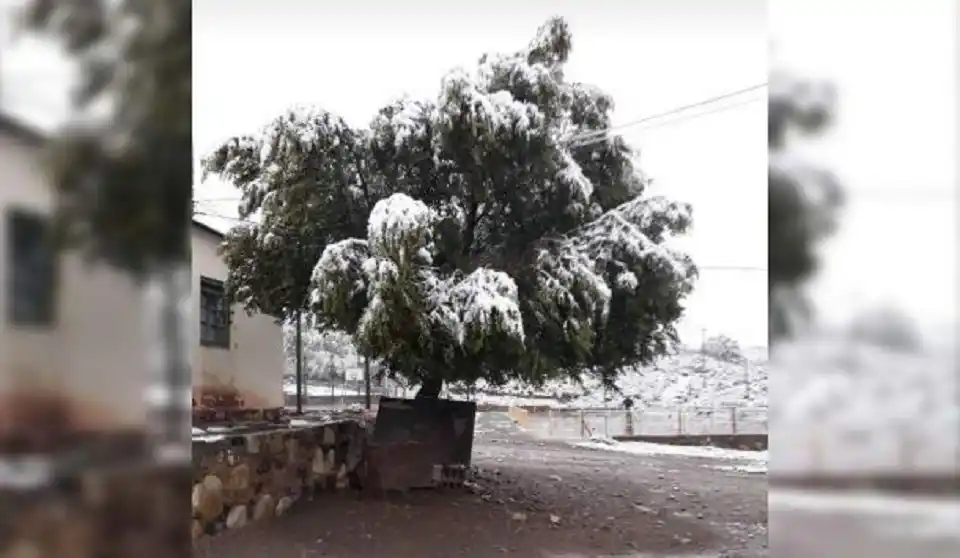Nevó en pleno verano en la puna jujeña: mirá las imágenes