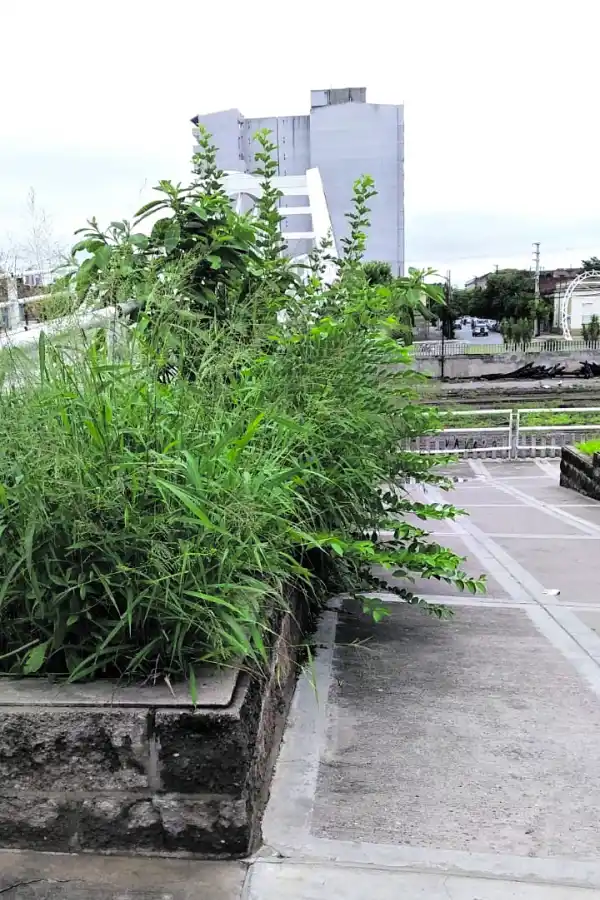 LA GACETA en WhatsApp 