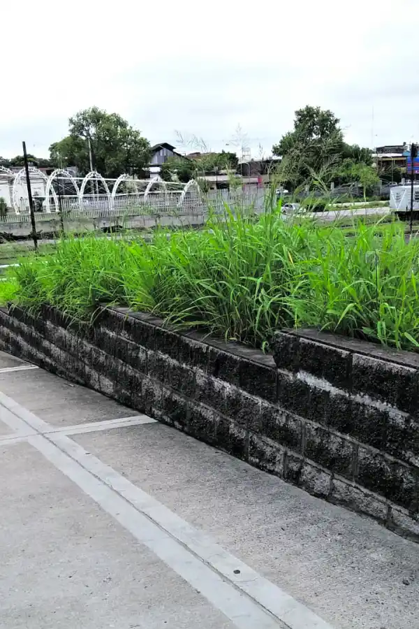 LA GACETA en WhatsApp 