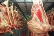 Precio de la carne: cambios en la economía hogareña