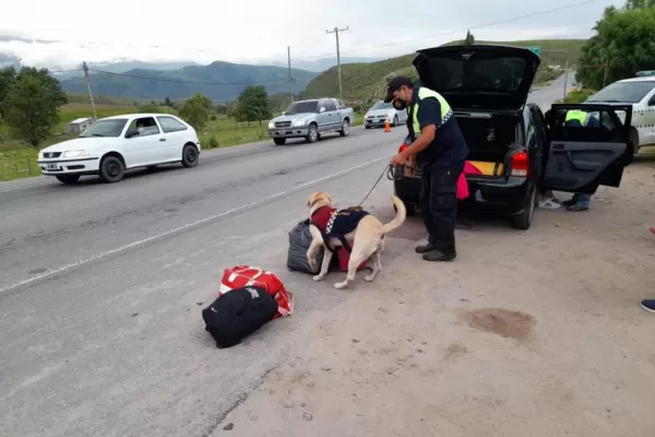 Secuestro de drogas: controles en los valles