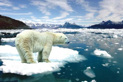 Cambio climático: los hielos se derriten cada vez más rápido