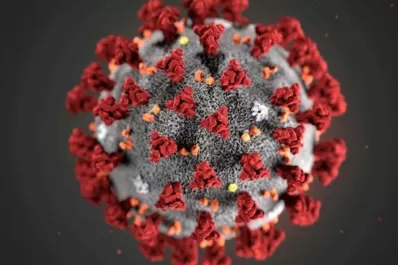 Coronavirus: el mundo supera los 100 millones de casos