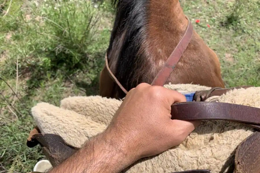 CON MANO FIRME. Sujetar bien la rienda del caballo es fundamental para guiar al animal durante el recorrido.  