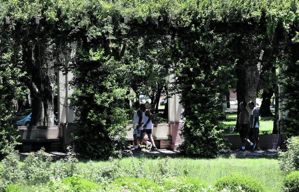 CAMINATA EN PAREJAS. Caminar y conversar entre amigos, nada mejor qué hacerlo entre el verde paisaje que ofrece el parque, a la sombra de la vegetación; tranquilos, sin apuro y aprovechando el día.