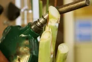 Urge la prórroga de la ley                                  de biocombustibles