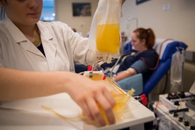 Coronavirus: qué pacientes pueden ser tratados con suero equino y plasma de recuperados