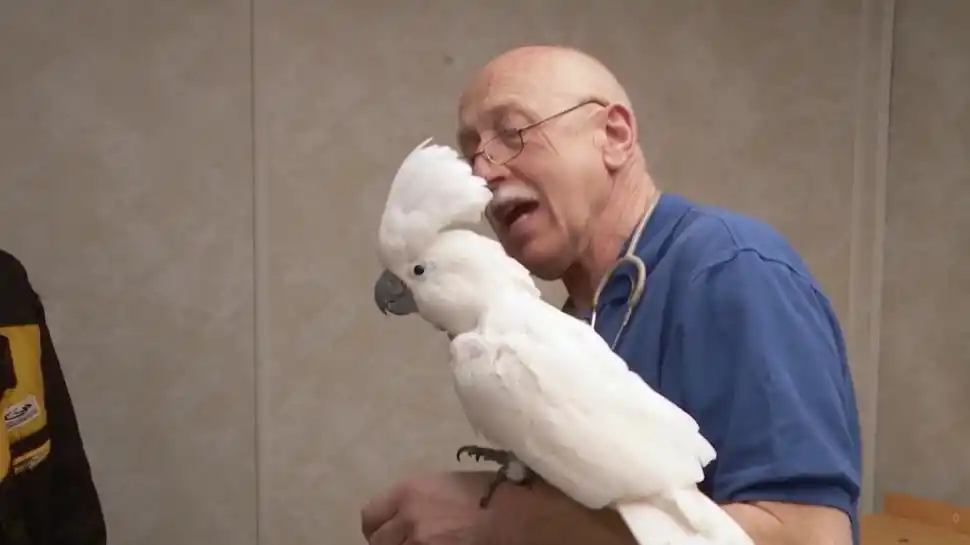  EL INCREÍBLE DR. POL. Serie que se estrena hoy.