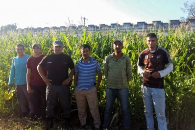 Internos del penal de Villa Urquiza siembran hortalizas y crían cerdos