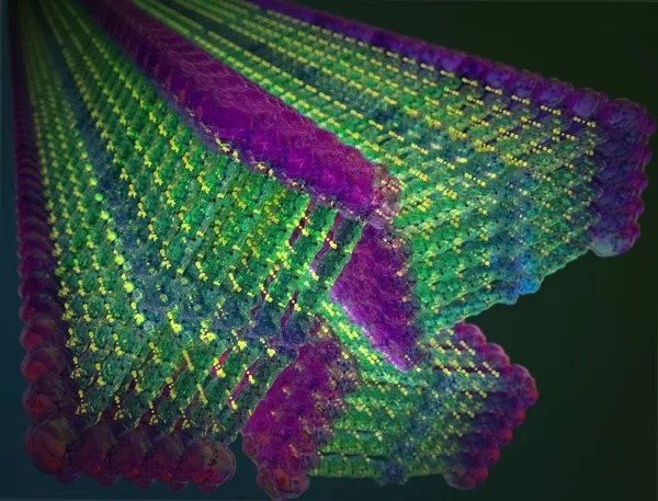 AVANCES. Las nanoestructuras tienen aplicaciones biomédicas. 