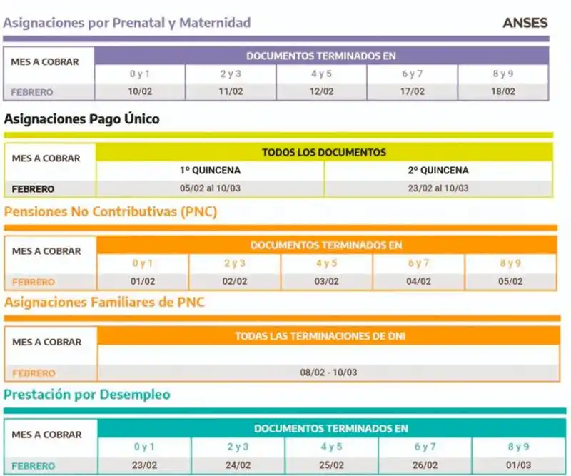 Calendario Anses, en febrero: cuándo cobro AUH, AUE y jubilaciones