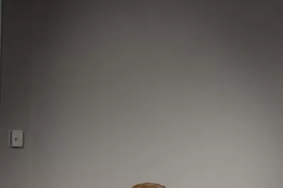 “2021 será de transición en la industria del cine y las series”