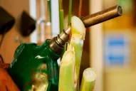 Nos preocupa la situación porque en Tucumán dependemos del bioetanol, afirmó el vicegobernador