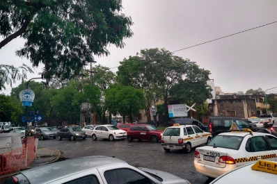 Se cayó un árbol en Barrio Sur y el tránsito es un caos