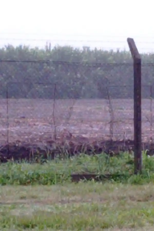 EN UNO DE LOS LATERALES. Un vecino fotografió daños en la tela alambrada del country.