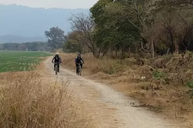 Estiman que se sustraen hasta cuatro rodados por día