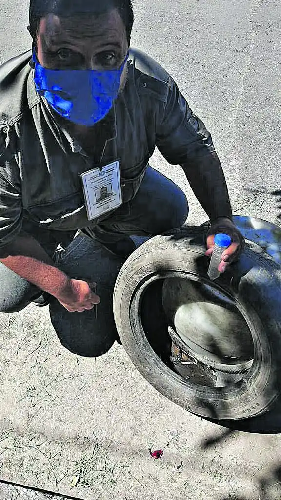 Dengue en Tucumán: no hay epidemia, pero hay más cantidad de mosquitos