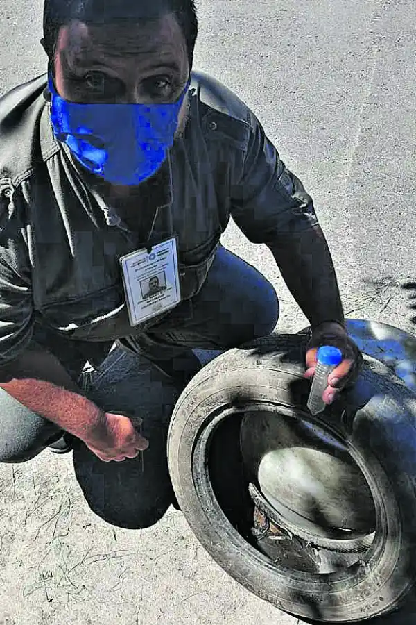 Dengue en Tucumán: no hay epidemia, pero hay más cantidad de mosquitos