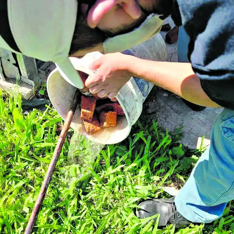 Dengue en Tucumán: no hay epidemia, pero hay más cantidad de mosquitos