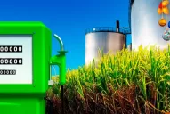 Martínez Pulido: “apostar por el biocombustible es apostar por la región”