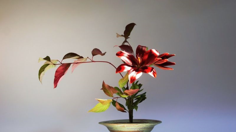 VIDA. Para marcar la longevidad hay ikebanas de un metro de altura.