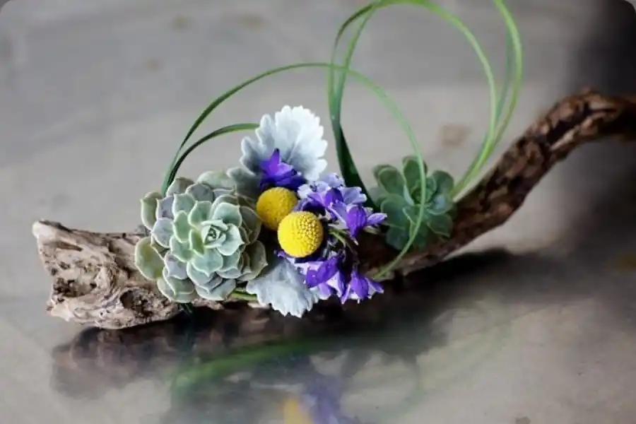 RECIPIENTES. Hay arreglos que usan musgo, troncos u hojas como base.  