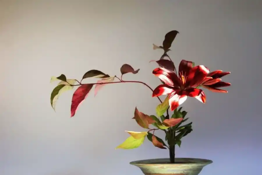 VIDA. Para marcar la longevidad hay ikebanas de un metro de altura.