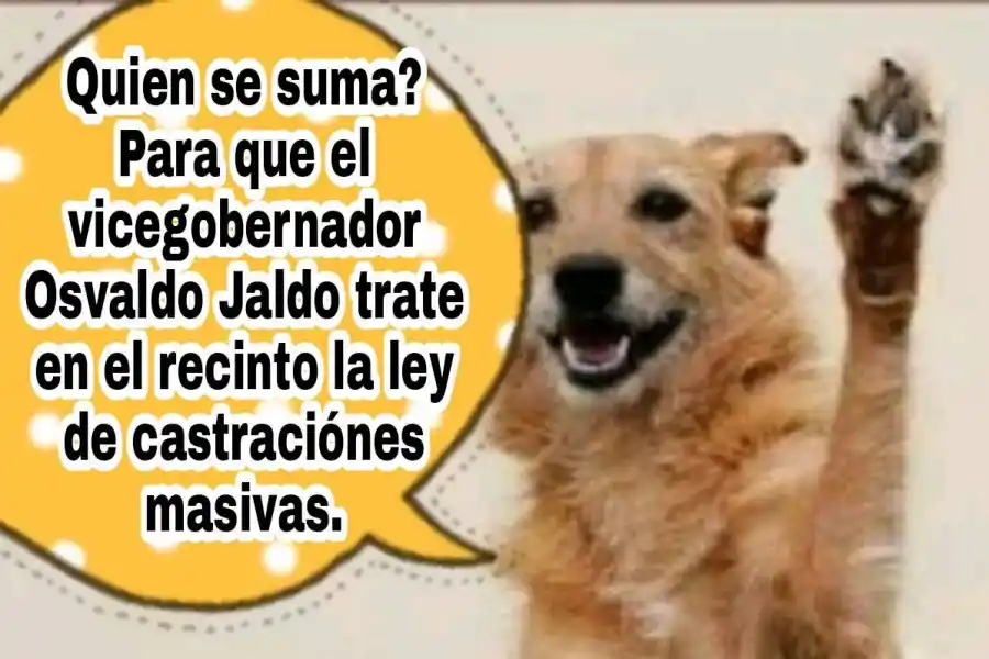 PARTE DE LA CAMPAÑA. Imagen de Facebook de Daly Katun Rojas