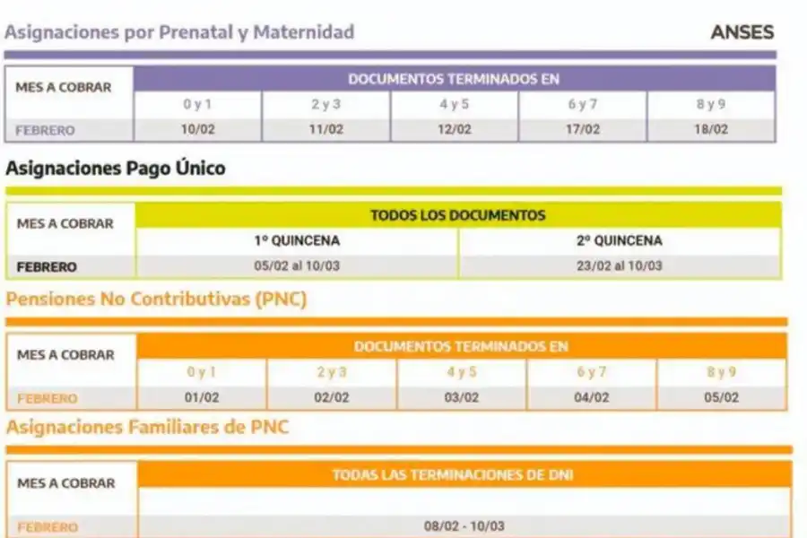 UVHI de Anses: conocé qué es y quiénes pueden cobrarlo
