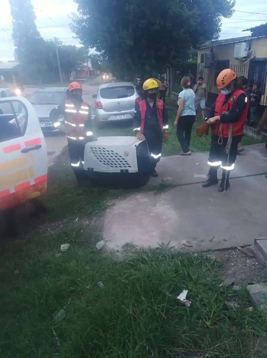 Increíble: tuvieron que rescatar a una mona que estaba en el techo de una casa