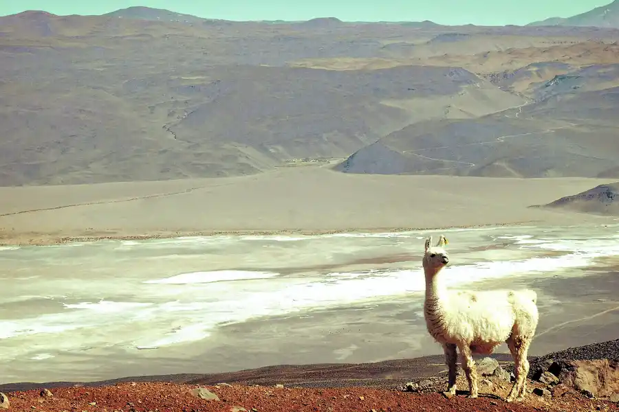 Siete alternativas para aprovechar un carnaval diferente 