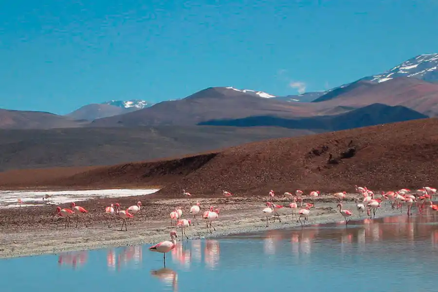 Siete alternativas para aprovechar un carnaval diferente 