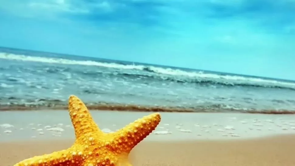 LA METÁFORA. “¿Te acordás de ese changuito que caminaba por la playa? La marea había abandonado a su suerte a miles de estrellas de mar en la arena...” 