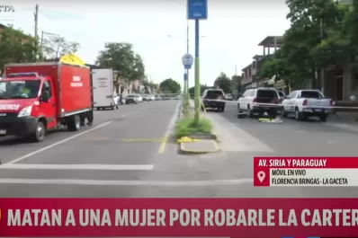 Son delincuentes que hacen de esto su forma de vida, aseguró el hermano de Susana Mansilla