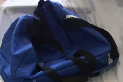 Secuestran medio kilo de marihuana y un arma por el robo a un negocio en Barrio Sur