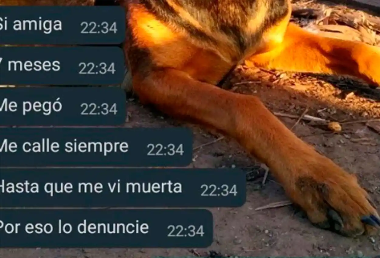 Me callé hasta que me vi muerta: los mensajes de la adolescente asesinada por su ex