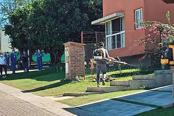 Chau mosquitos: emprendimientos para atacar al Aedes aegypti