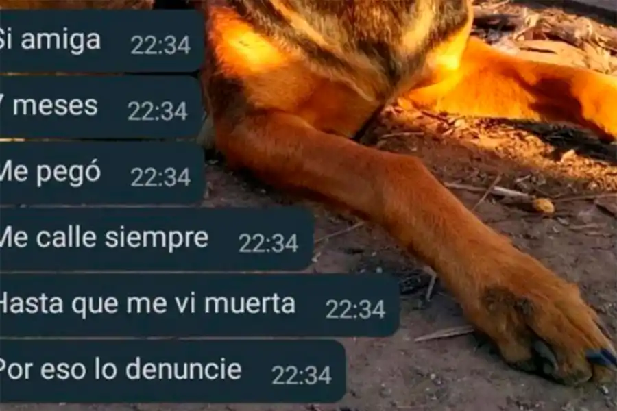 Me callé hasta que me vi muerta: los mensajes de la adolescente asesinada por su ex