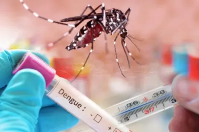 Cómo fue el operativo por el primer caso de dengue importado en Tucumán