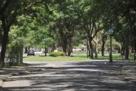 Carnaval: cómo funcionarán los servicios municipales