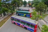 “Apoyamos el Ecobus, pero estos son colectivos ‘fantasma’”, afirmó la titular del Concejo taficeño