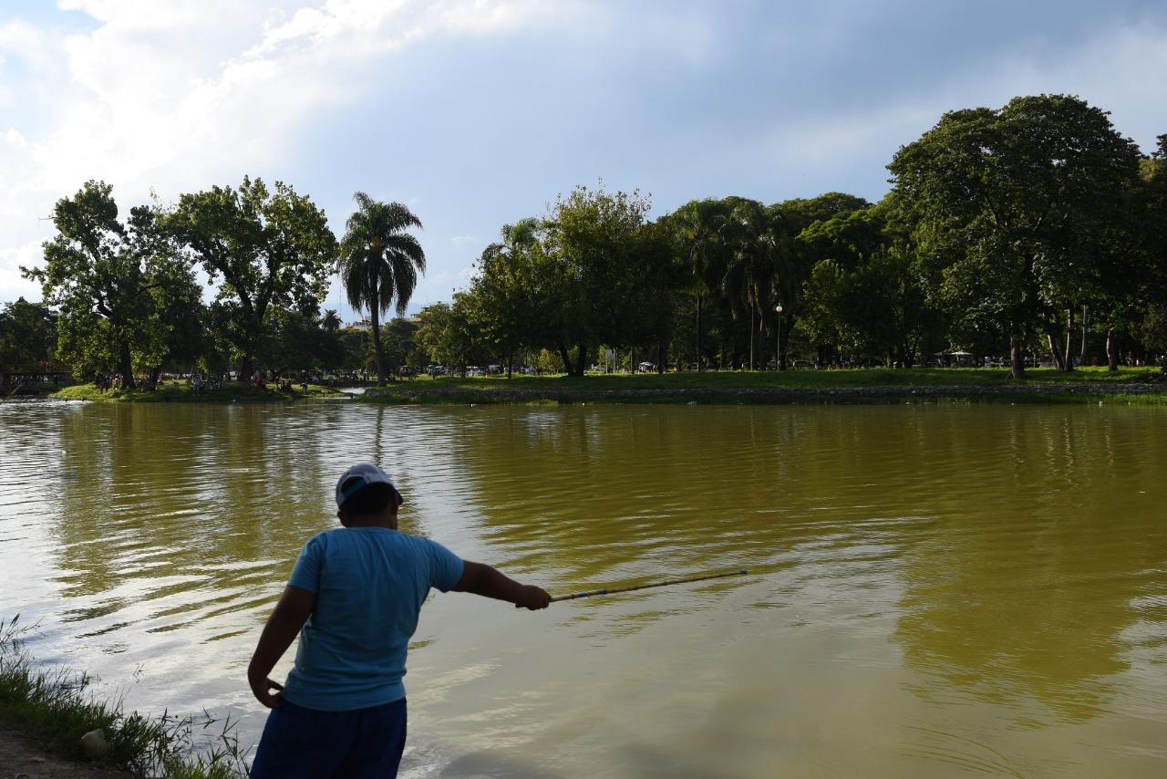 Postales que dejó San Valentín: el parque 9 de Julio cobijó a las familias tucumanas